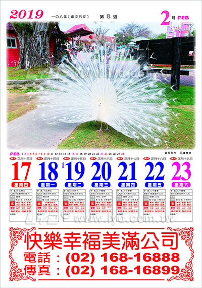 269菊對週曆B