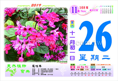 866八開天然植物寶典