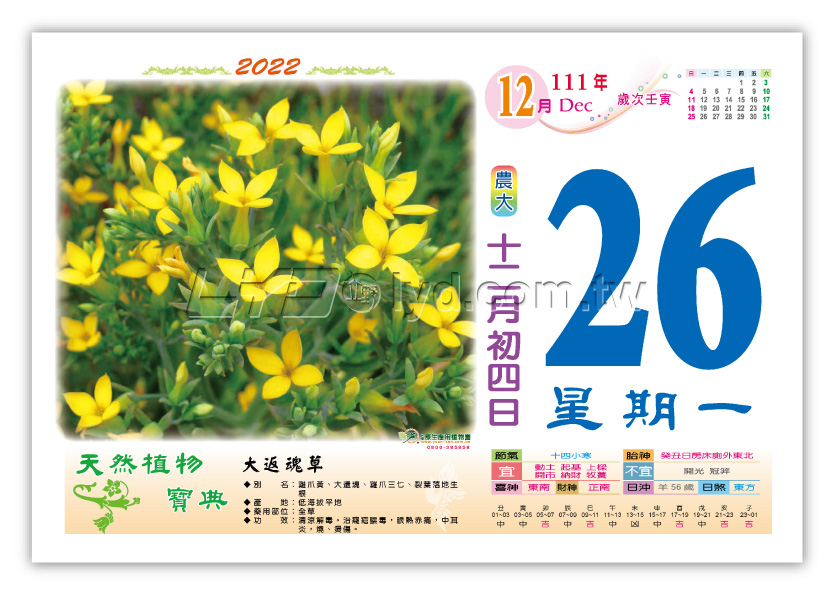 866八開天然植物寶典