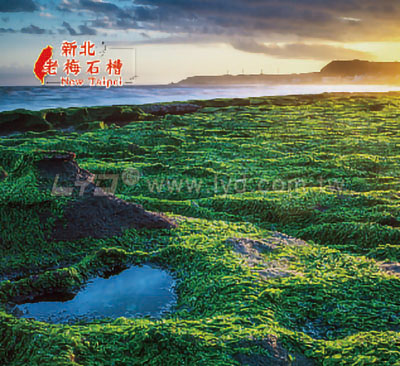 月曆內頁圖