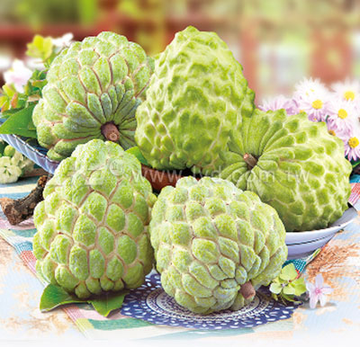 月曆內頁圖