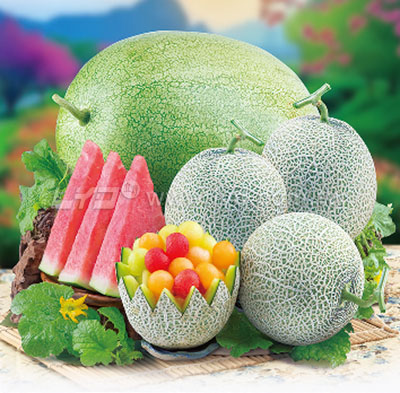 月曆內頁圖