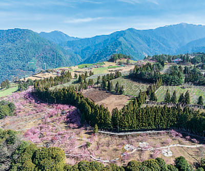 月曆內頁圖