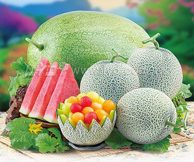 月曆內頁圖