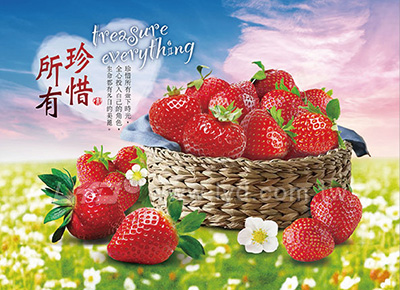 月曆內頁圖