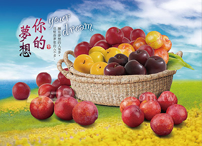 月曆內頁圖