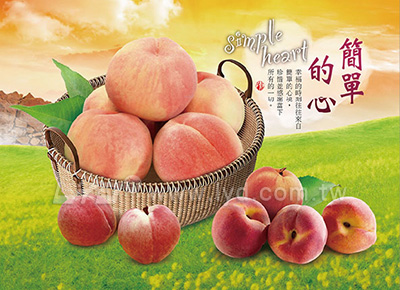 月曆內頁圖