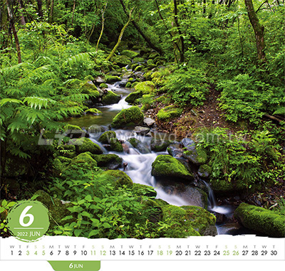 LTL06森林美景三角桌曆內頁圖