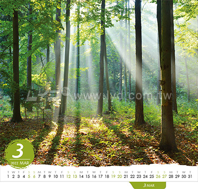 LTL06森林美景三角桌曆內頁圖