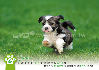 LTT06有你真好(狗)(大)三角桌曆內頁圖