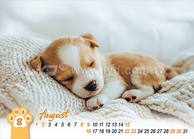 LTT06有你真好(狗)(大)三角桌曆內頁圖