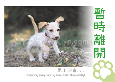 LTT06有你真好(狗)(大)三角桌曆內頁圖