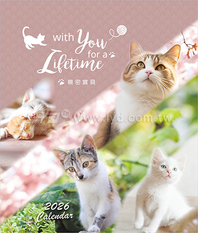 LTU07親密寶貝(貓)(大直)三角桌曆內頁圖