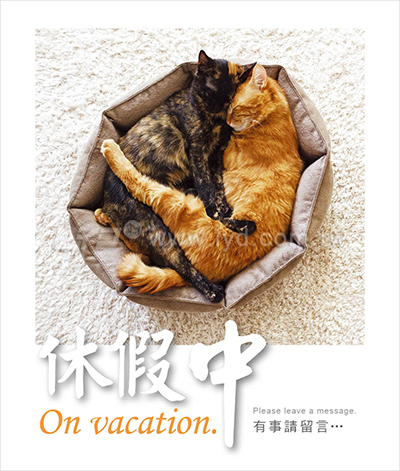LTU07親密寶貝(貓)(大直)三角桌曆內頁圖