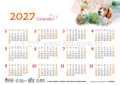 LTM06有你真好(狗)(大)便利貼(橫式)三角桌曆內頁圖