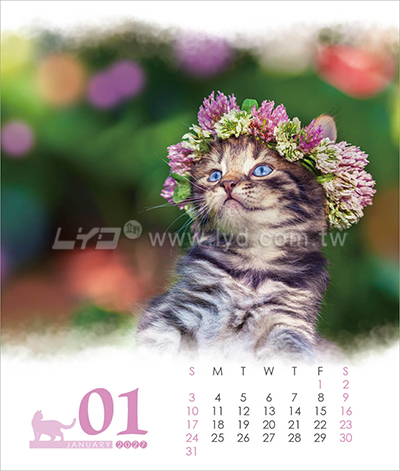 LTU07親密寶貝(貓)(大直)三角桌曆內頁圖