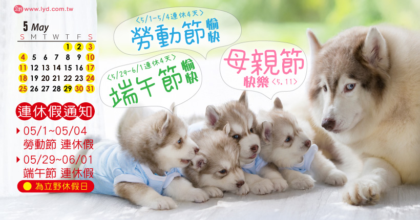 立野5月連休假